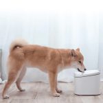 Bebedouro Inteligente Para Animais Xiaomi Smart Pet Water Fountain_3