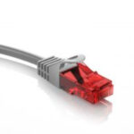 Cat6_1_1