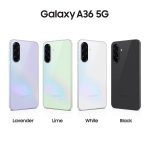 A36_Lavanda_7_30d4489a_thumbnail_4096