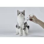 6973293809190__7_ef124bb6_thumbnail_4096