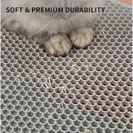 Captura de ecrã 2025-06-04 143415