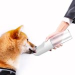 GADGET0868_20250225093647_3974