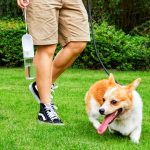 GADGET0868_20250225093647_6680