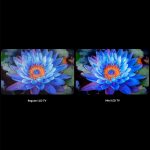 P073996_4_a1c67ef3_thumbnail_4096