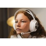 p069315_c_ade4bd8b_thumbnail_4096